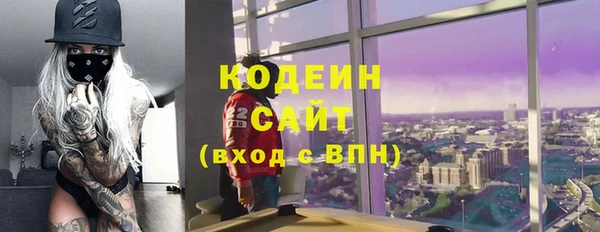 мдпв Краснослободск