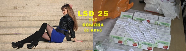 гашик Костерёво