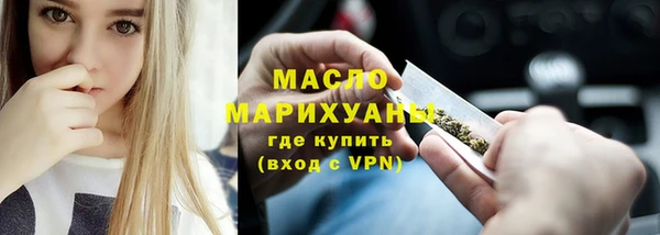 мдпв Краснослободск