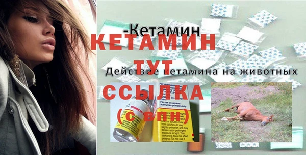 мдпв Краснослободск