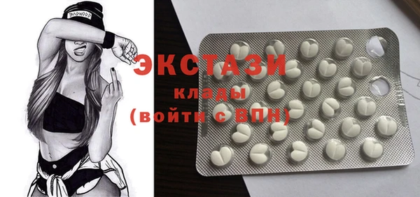 мдпв Краснослободск