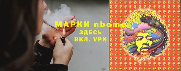 мдпв Краснослободск
