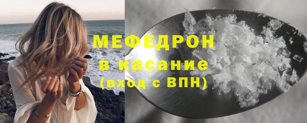 мдпв Краснослободск