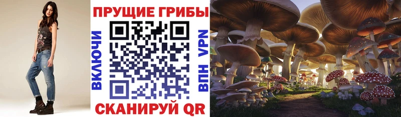 Купить где  Приволжский  Галлюциногенные грибы мухоморы 